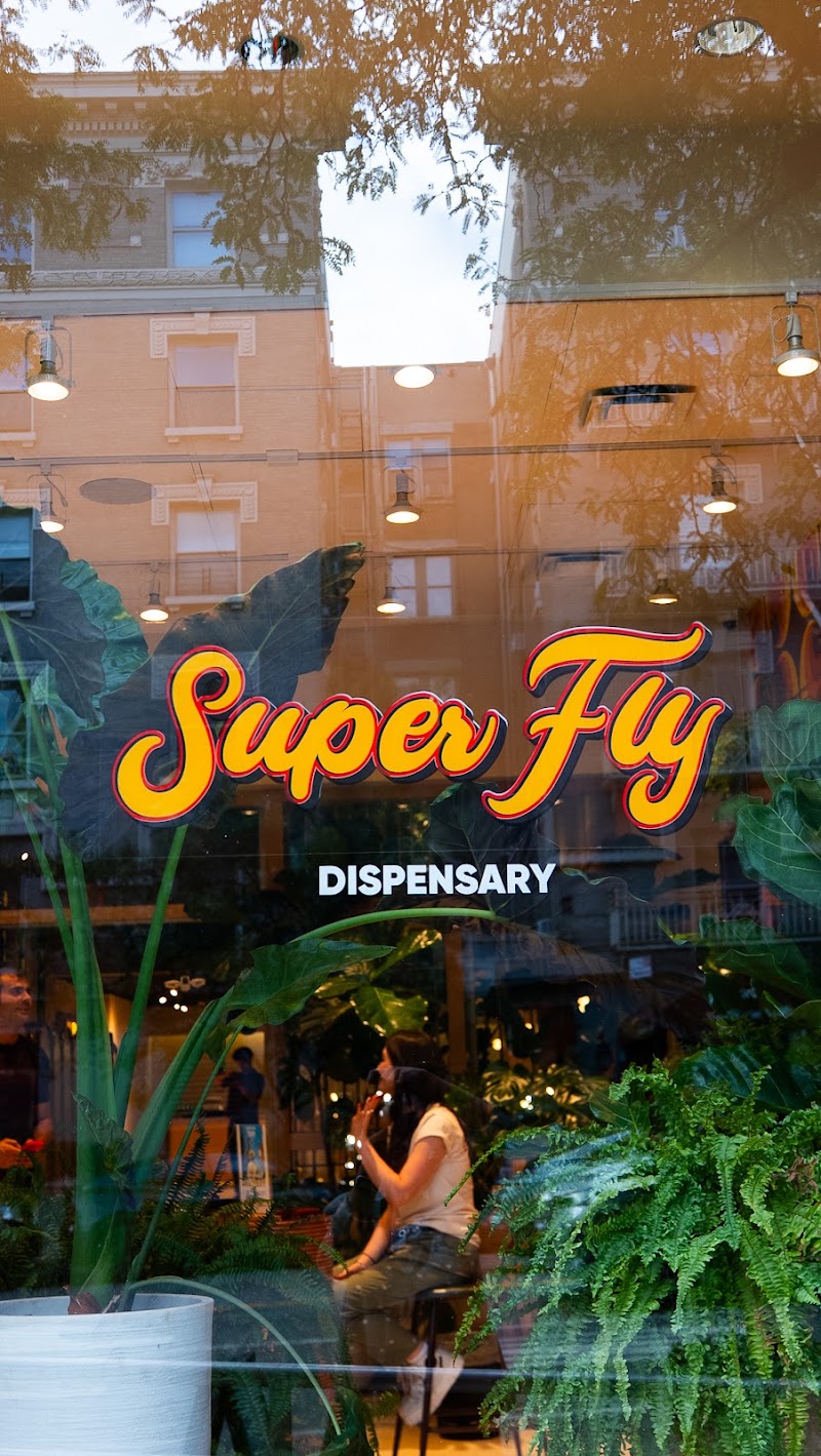Video tour of Superfly New York City - Upper West Side Licensed Adult-Use Recreational Dispensary retail environment