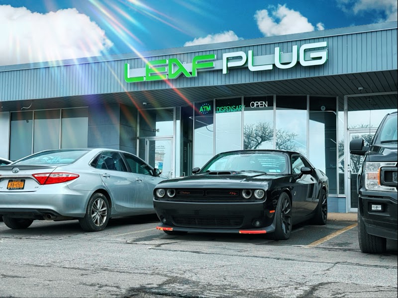 Video tour of Leaf Plug retail environment
