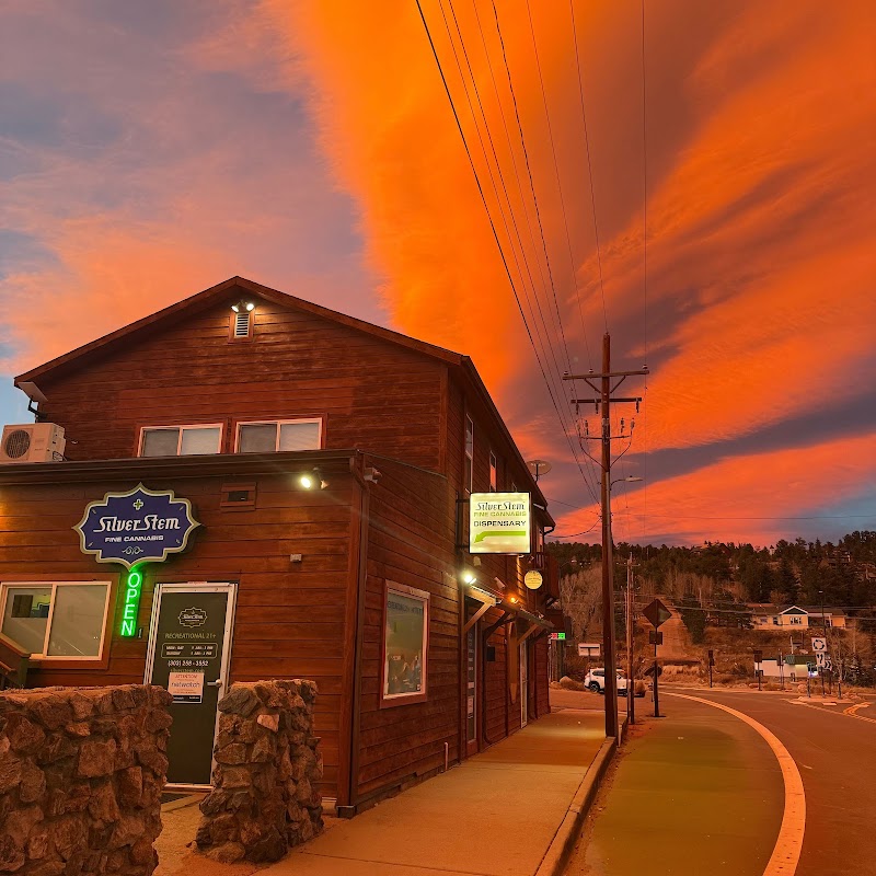 Video tour of Silver Stem Fine Cannabis Nederland Boulder Area Dispensary retail environment