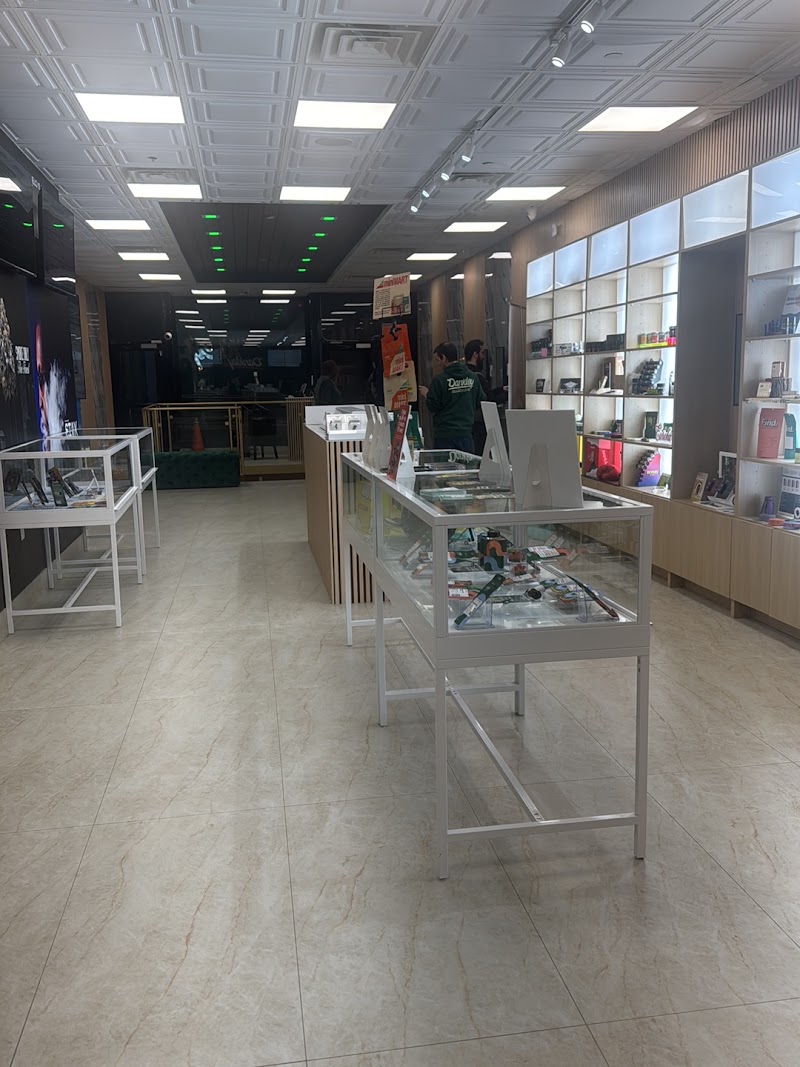 Video tour of Dankley Dispensary - Manhattan retail environment